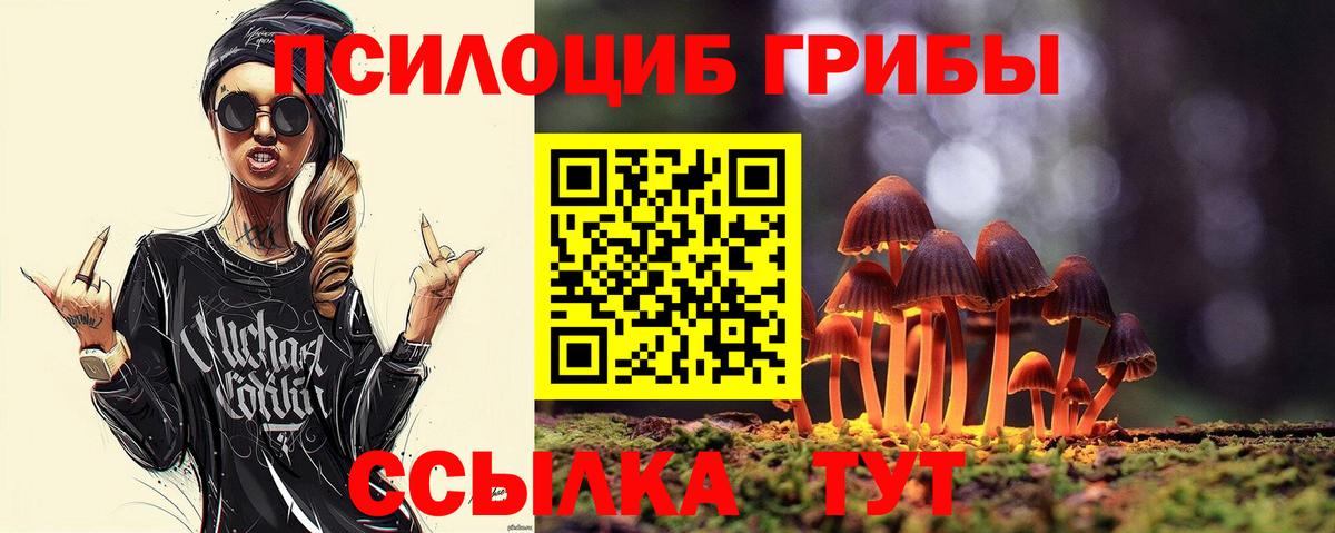 Галлюциногенные грибы ЛСД  Галлюциногенные грибы прущие грибы  закладка  Вход с VPN  Дзержинск 